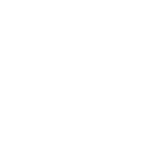 LuckyLensPhotography White Lockup 5